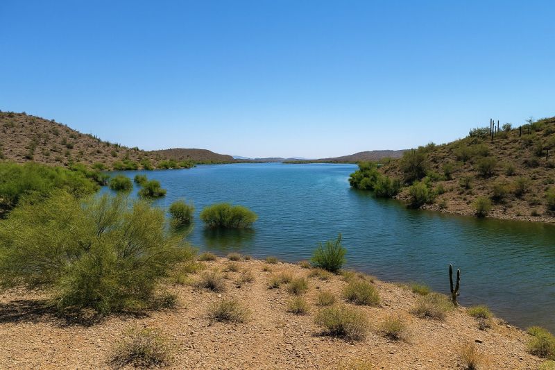 Local Commercial Fence Painting in New River, AZ