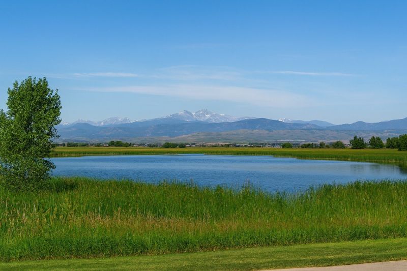 Local Commercial Fence Painting in Timnath, CO