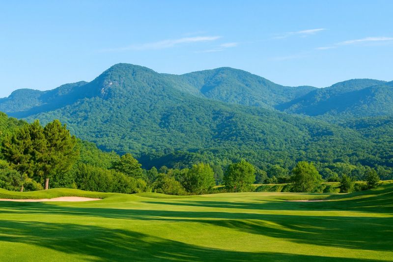 Local Commercial Fence Painting in Beaumont, CA