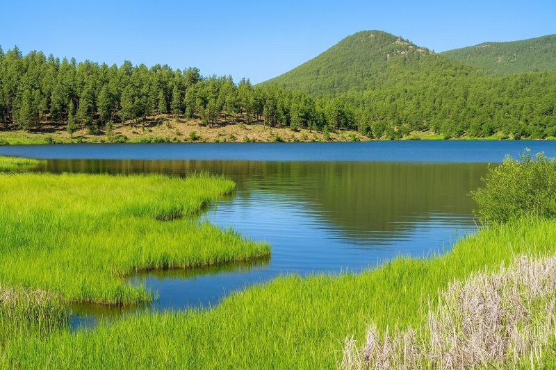 Local Commercial Painting in Evergreen, CO