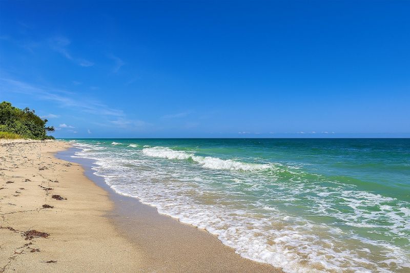 Local Commercial Painting in Dunedin, FL