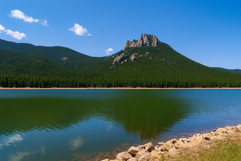 Local Hotel Painting in Wellington, CO