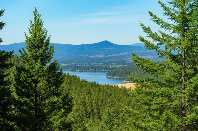 Local Interior Commercial Painting in Liberty Lake, WA