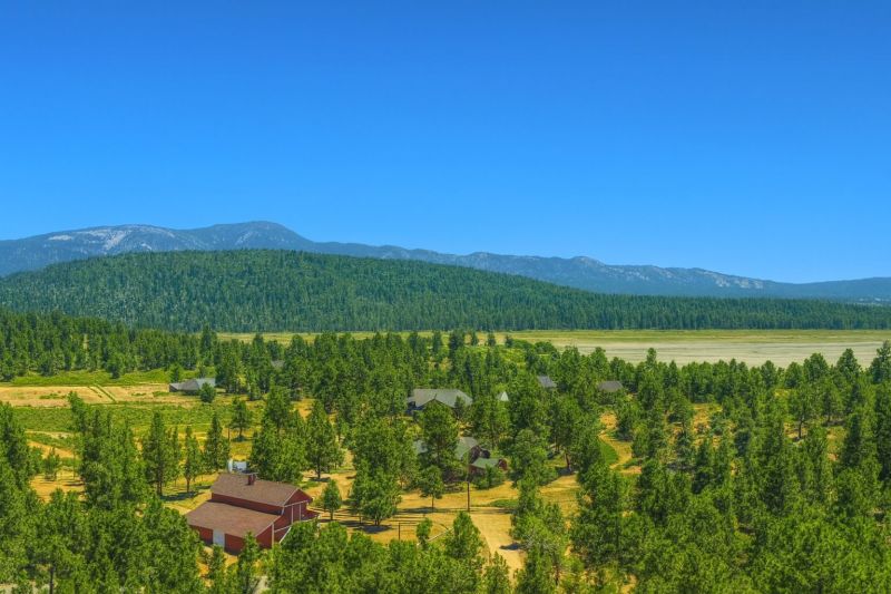 Local Interior Office Painting in Big Bear City, CA